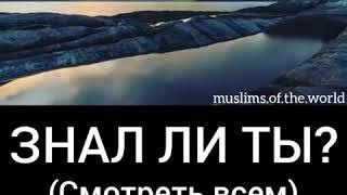 UMMA MUHAMMADA 1400 лет назад Любил ПРОРОК тебя