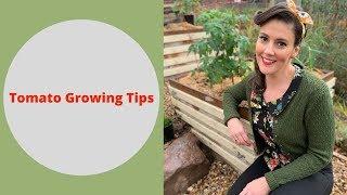 Tomato Growing 101 // A Beginners Guide to Growing Tomatoes // The Gardenettes