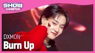 다이몬(DXMON) - Burn Up l Show Champion l EP.503 l 240131