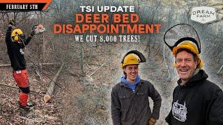 We Cut 8,000 Trees - Disappointing Lesson from Deer Beds | Dream Farm w/ Bill Winke