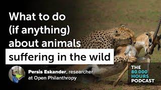 What to do — if anything — about wild animal suffering | Persis Eskander (2019)