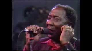 Muddy Waters / The Living Legends of Blues