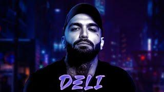 Ho3ein - Deli