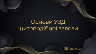 Ультразвукова анатомія щитоподібної залози