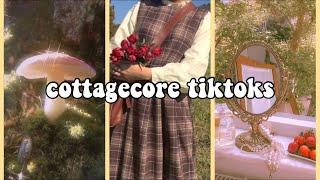 cottagecore tiktoks