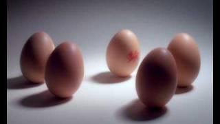 Lion Eggs commercial - 'Sense Of Humour'