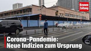 Corona-Pandemie: Tiermarkt in Wuhan war Ursprung | krone.tv NEWS