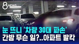 눈 뜨니 차량 '30대 파손'…간밤 무슨 일?..아파트 발칵 / SBS 8뉴스