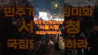 김미화 개그맨/진짜 대한민국!Korea Demonstrate
