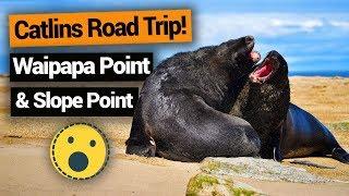 ️ Catlins Road Trip: Waipapa Point & Slope Point –  New Zealand's Biggest Gap Year