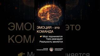 Что происходит с мозгом, когда ты тревожишься
