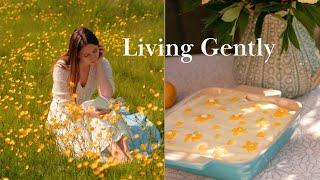 Gentle Living - Navigating Change While Living Slowly English Countryside | Lemon Tiramisu Recipe