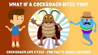 What if a cockroach bites you? - cockroach life cycle - Fun facts about roaches - learning junction