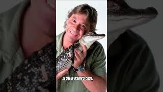 #ocean Replying to @mustafa02siddiqui Could Steve Irwin Been Saved from His Stin