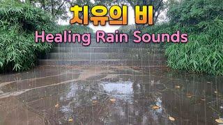 Rain sounds that make you fall asleep as soon as you hear them / Rain sounds for insomnia