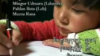 Ladakhi new song || Tinchan amaly || heart touching ladakhi song