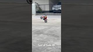 Losi 1/4 Promoto-MX Motorcycle.Soul of Scale RC channel.