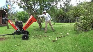 Old man cutting up a huge tree and chipping the small branches