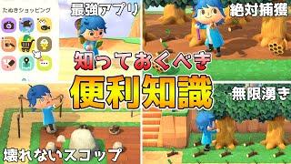 【あつ森】意外と知られていない知識5選！知っていたらあつ森マスター！【あつまれどうぶつの森】