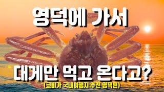 국내 여행지 추천 영덕 가볼만한 곳 영덕에 이런곳이 있다고?