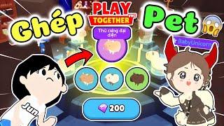 Play Together | Mình Đã Thử Thách Nâng Cấp Cùng Uni Ghép Chuột Capybara