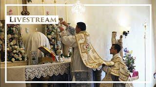 Solemn High Mass - Twenty-second Sunday after the Pentecost - 10/20/24