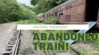 Abandoned Train in Eastern Tennessee [New River Scenic Railway ]