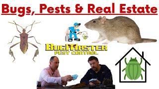 Do you need a PEST / BUG INSPECTION when buying a home? - Jody Miller and Bugmaster in Kelowna