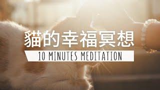 10 分鐘貓的幸福冥想 | 給內向者的療癒冥想 向貓學習放鬆自在的生活哲學