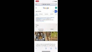 How to view Google 3D animals in your iPhone iOS