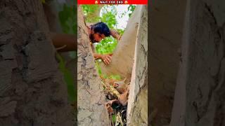 Parinde Ke Niche se Heere Nikale ||working art/ hand crafts ideas / homemade /skills#shorts