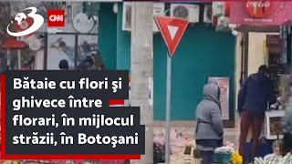 Bătaie cu flori şi ghivece între florari, în mijlocul străzii, în Botoşani