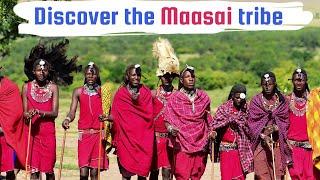 African Safari|African people|Maasai tribe| Maasai Village|Animals and birds in Africa