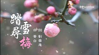 四重唱《 踏雪尋梅 》詞： 劉雪庵  曲 ：黃自  ( 1935 年 創作 ） *•