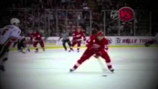 Pavel Datsyuk Павел Дацюк- The King of Stickhandling