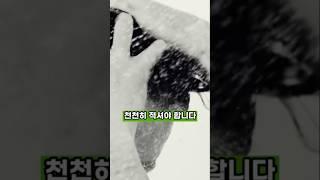 샤워 할 때 절대 하면 안되는 4가지 #건강 #건강정보 #건강관리
