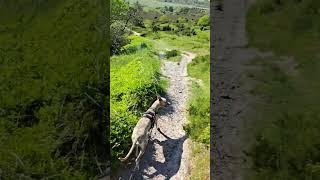 hiking rebild bakker with the whip