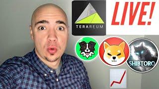 CRYPTO NEWS! TERAREUM AMA, SHIBTORO, APOLLO INU, SHIBA INU & MORE!