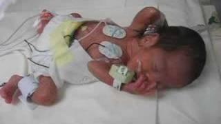 Lucas Sebastian Nicu Video