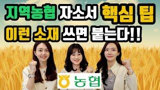 지역농협 자소서 이런 소재 쓰면 붙는다! 합격 키워드 추천!!