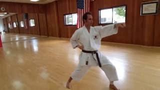 Basic Techniques - Kihon Waza