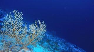 Underwater Mountains in the Indian Ocean