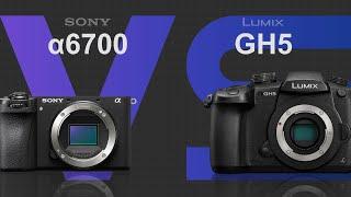 Sony alpha a6700 vs Panasonic Lumix GH5