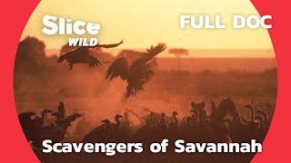 Scavengers of the Savannah | SLICE WILD | FULL DOCUMENTARY