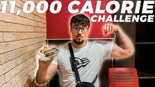 POSKUSIL SEM POJESTI 11.000 KALORIJ V 24H | EPIC CHEAT DAY