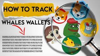 How to track Crypto WHALES? Follow Meme Coins Whales