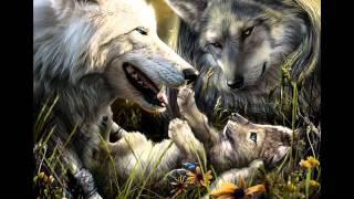 a wolffreak tribut.wmv