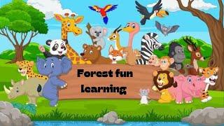 Forest Fun Learning: Discover Animals & Nature for Kids | 2024