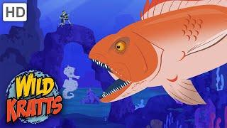 Wild Kratts | Seahorse Rodeo | Full Episode | Season 2