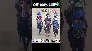 한국을 제패할 차세대 에이스 경주마의 등장! #shorts
